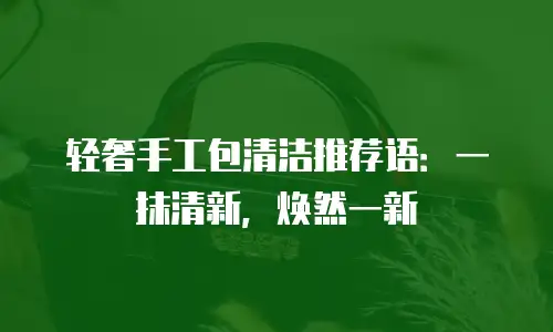 轻奢手工包清洁推荐语：一抹清新，焕然一新