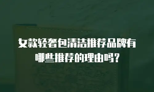 女款轻奢包清洁推荐品牌有哪些推荐的理由吗？