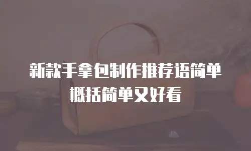 新款手拿包制作推荐语简单概括简单又好看