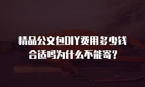 精品公文包DIY费用多少钱合适吗为什么不能寄？