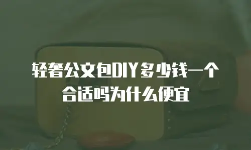 轻奢公文包DIY多少钱一个合适吗为什么便宜