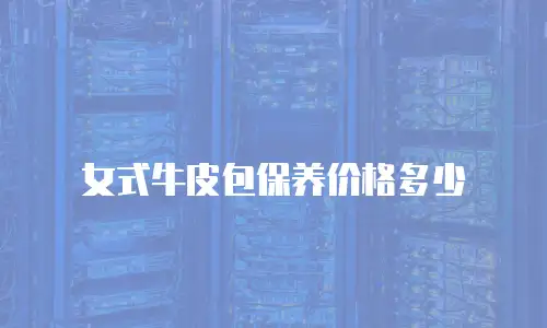 女式牛皮包保养价格多少