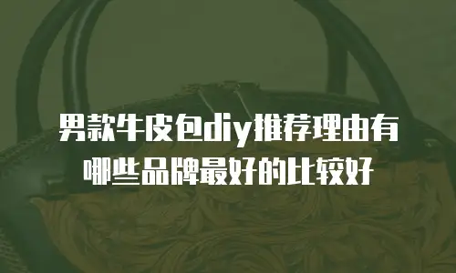 男款牛皮包diy推荐理由有哪些品牌最好的比较好