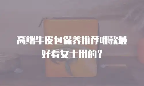 高端牛皮包保养推荐哪款最好看女士用的？