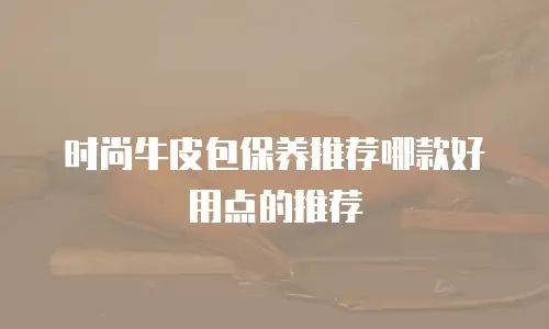 时尚牛皮包保养推荐哪款好用点的推荐