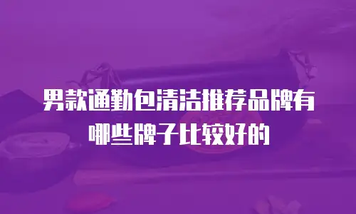 男款通勤包清洁推荐品牌有哪些牌子比较好的