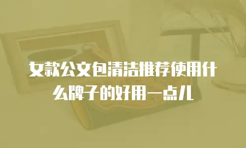 女款公文包清洁推荐使用什么牌子的好用一点儿