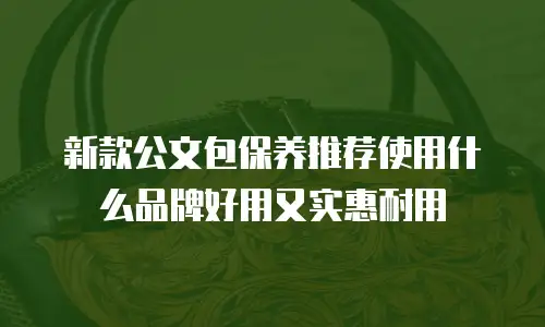 新款公文包保养推荐使用什么品牌好用又实惠耐用