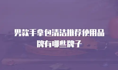 男款手拿包清洁推荐使用品牌有哪些牌子