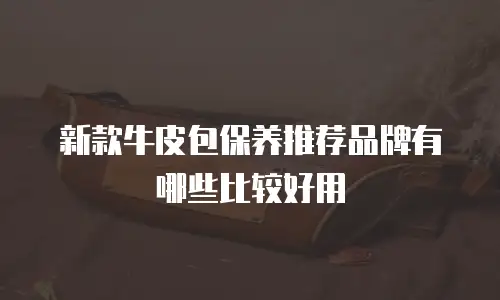 新款牛皮包保养推荐品牌有哪些比较好用