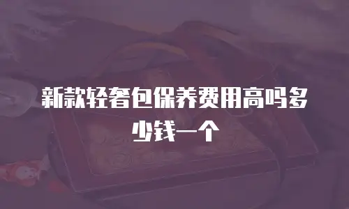 新款轻奢包保养费用高吗多少钱一个