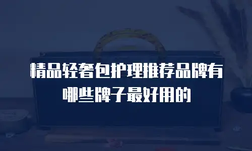 精品轻奢包护理推荐品牌有哪些牌子最好用的