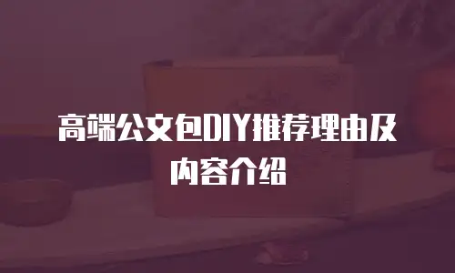 高端公文包DIY推荐理由及内容介绍