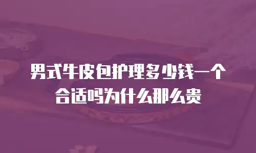 男式牛皮包护理多少钱一个合适吗为什么那么贵