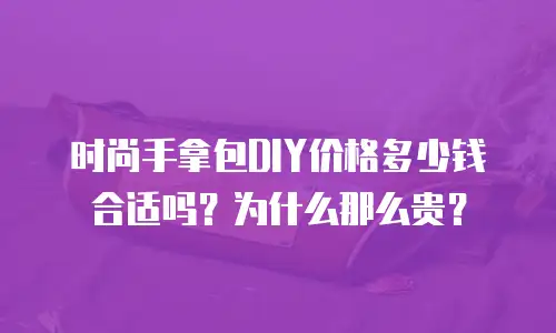 时尚手拿包DIY价格多少钱合适吗？为什么那么贵？