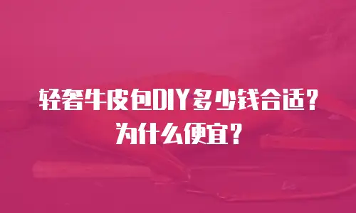 轻奢牛皮包DIY多少钱合适？为什么便宜？