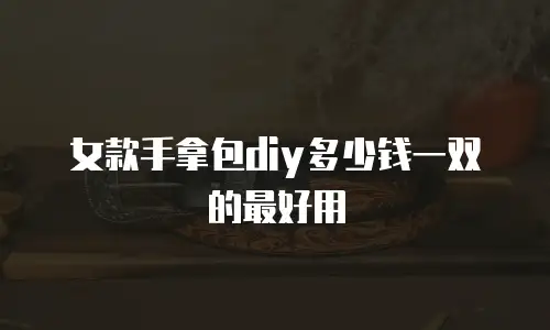 女款手拿包diy多少钱一双的最好用