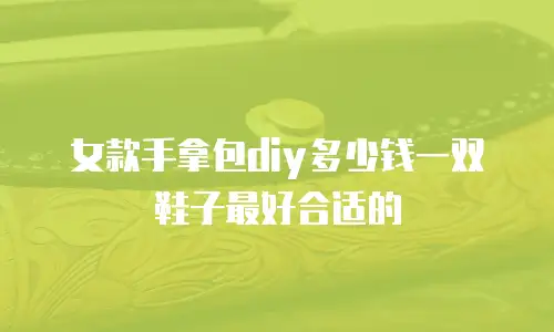 女款手拿包diy多少钱一双鞋子最好合适的