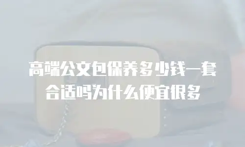 高端公文包保养多少钱一套合适吗为什么便宜很多