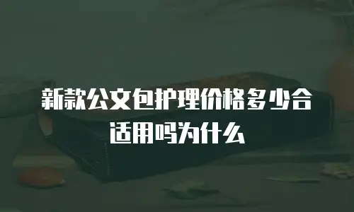 新款公文包护理价格多少合适用吗为什么