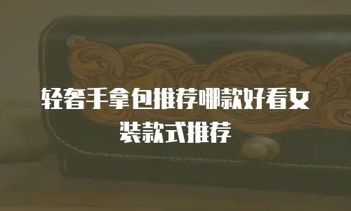 轻奢手拿包推荐哪款好看女装款式推荐