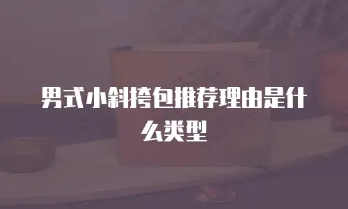 男式小斜挎包推荐理由是什么类型