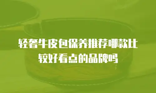 轻奢牛皮包保养推荐哪款比较好看点的品牌吗