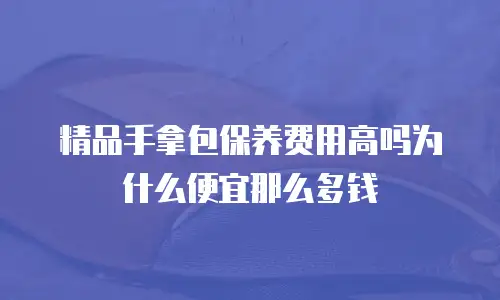 精品手拿包保养费用高吗为什么便宜那么多钱