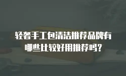 轻奢手工包清洁推荐品牌有哪些比较好用推荐吗？