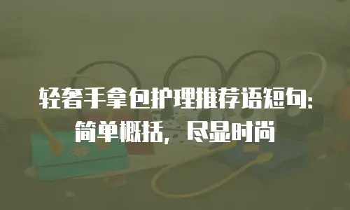轻奢手拿包护理推荐语短句：简单概括，尽显时尚