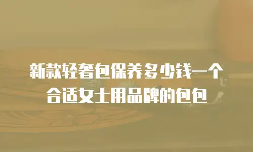 新款轻奢包保养多少钱一个合适女士用品牌的包包