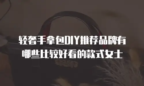 轻奢手拿包DIY推荐品牌有哪些比较好看的款式女士