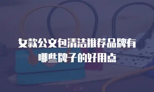 女款公文包清洁推荐品牌有哪些牌子的好用点