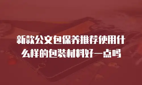 新款公文包保养推荐使用什么样的包装材料好一点吗