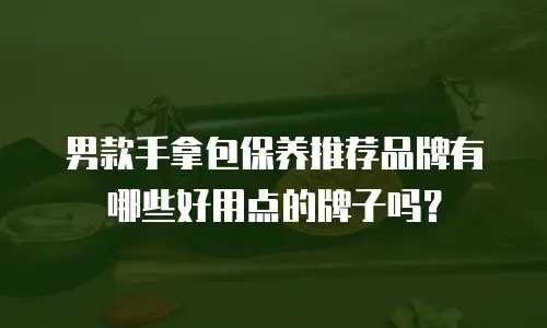 男款手拿包保养推荐品牌有哪些好用点的牌子吗？