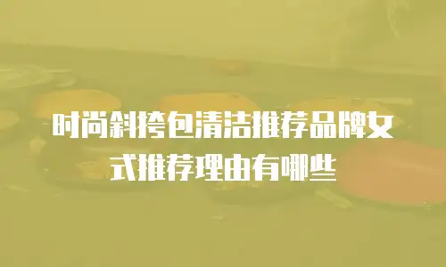 时尚斜挎包清洁推荐品牌女式推荐理由有哪些