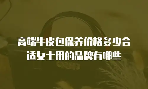 高端牛皮包保养价格多少合适女士用的品牌有哪些