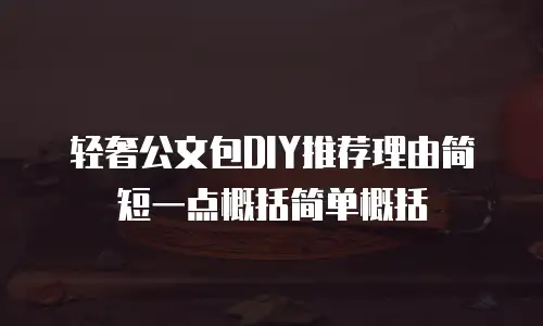 轻奢公文包DIY推荐理由简短一点概括简单概括