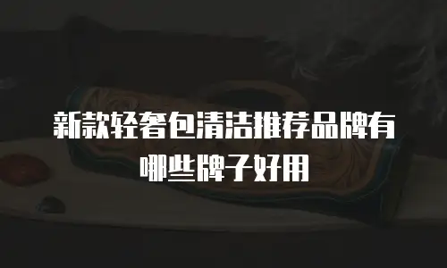 新款轻奢包清洁推荐品牌有哪些牌子好用