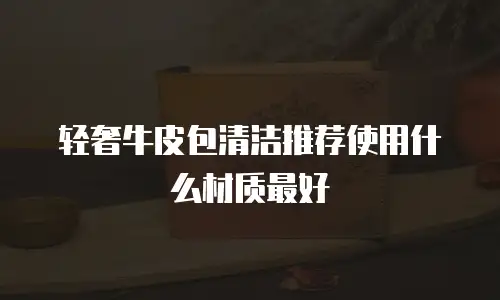轻奢牛皮包清洁推荐使用什么材质最好