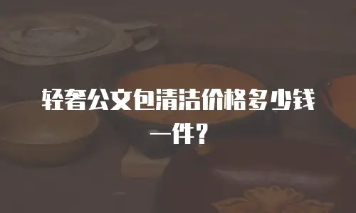 轻奢公文包清洁价格多少钱一件？