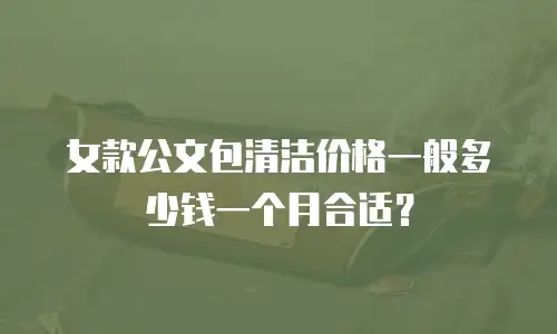 女款公文包清洁价格一般多少钱一个月合适？