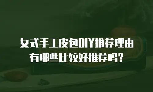 女式手工皮包DIY推荐理由有哪些比较好推荐吗？