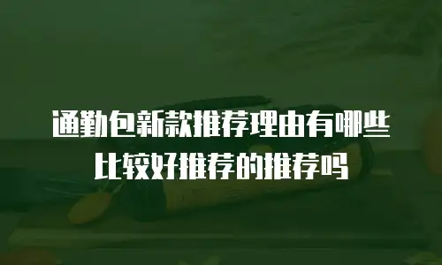 通勤包新款推荐理由有哪些比较好推荐的推荐吗