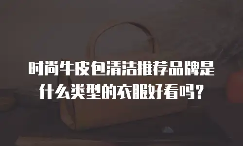 时尚牛皮包清洁推荐品牌是什么类型的衣服好看吗？