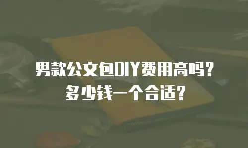 男款公文包DIY费用高吗？多少钱一个合适？