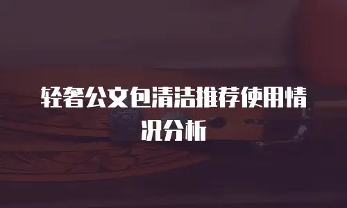 轻奢公文包清洁推荐使用情况分析