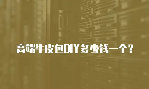 高端牛皮包DIY多少钱一个？