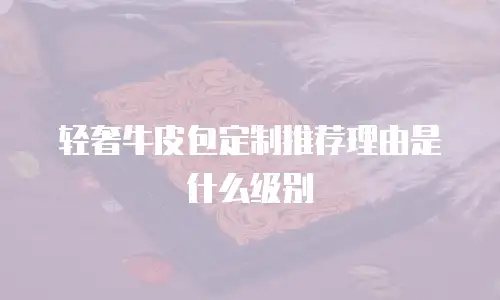 轻奢牛皮包定制推荐理由是什么级别