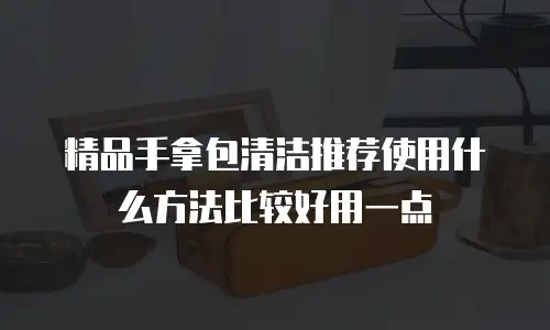 精品手拿包清洁推荐使用什么方法比较好用一点